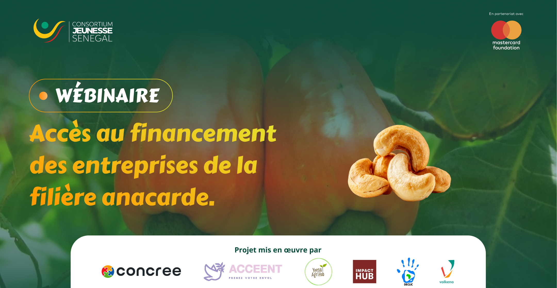 Campagnes webinaires